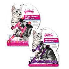 Arnés con Correa para Gatitos Pawise Rosa/Violeta - Talle S