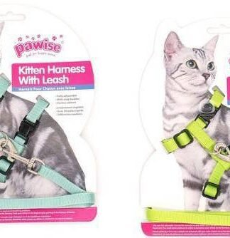 Arnés con Correa para Gatitos Pawise Verde - Talle XS