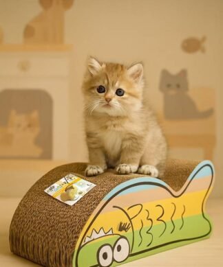 Rascador para Gatos AFP con Forma de Pez y Masajeador